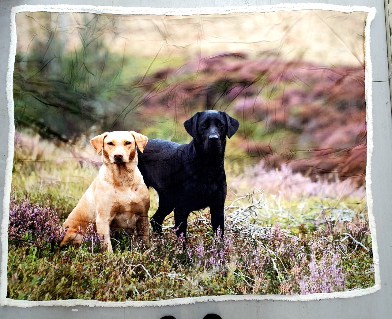 The Home Furnishings Company Labradors on Moor Throw 130x150cms  by Country Matters